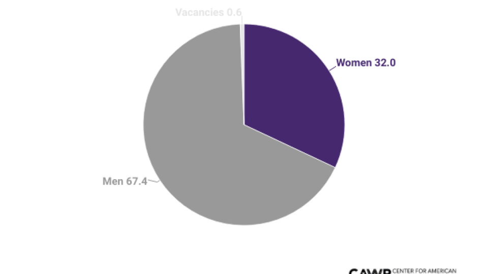 Pie chart showing women's representation in municipal offices nationwide