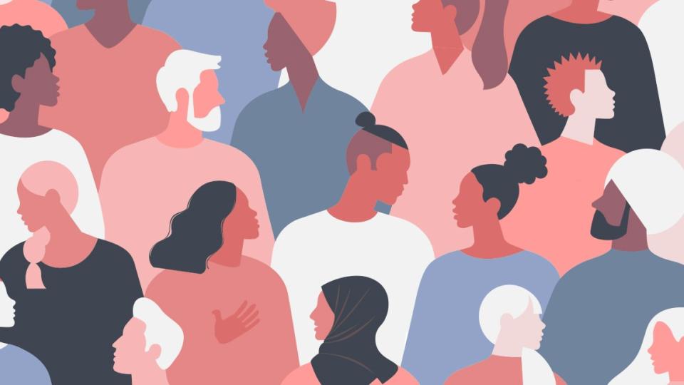 Data to Diversity Electeds Graphic