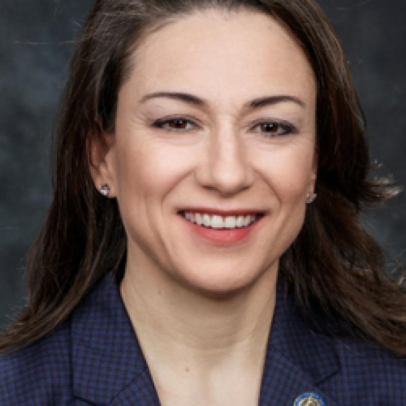 Headshot of Assemblywoman Aura K Dunn against a grey backdrop