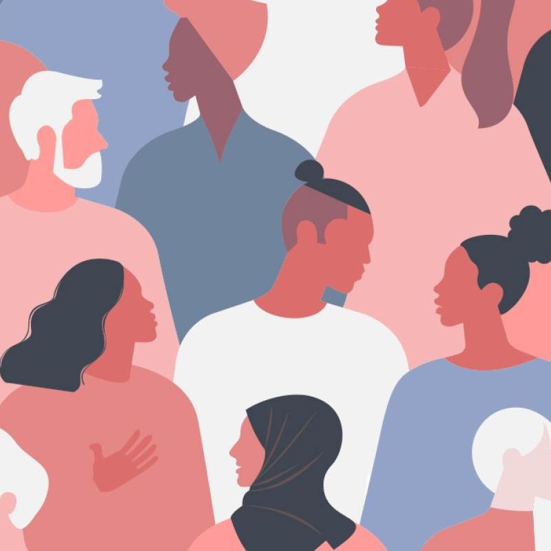 Data to Diversity Electeds Graphic