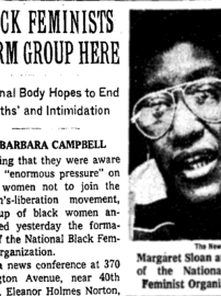 A newspaper clipping about the formation of the National Black Feminist Organization